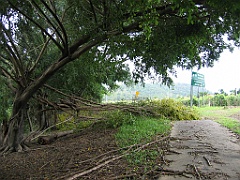 Cairns46 Cyclone Larry